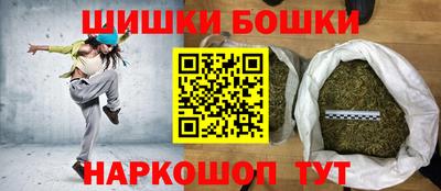 индика Славгород