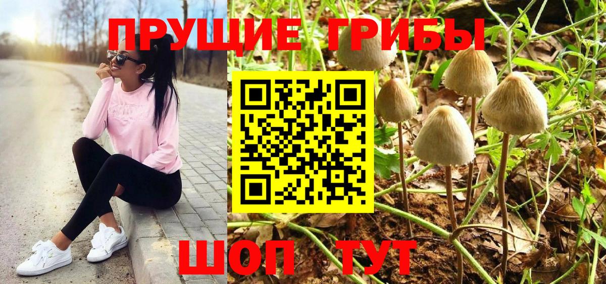Наро-Фоминск  Галлюциногенные грибы мухоморы  Галлюциногенные грибы мицелий  Вход с VPN 